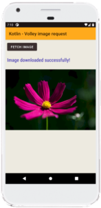 How to Download an image using volley request - Jigopost